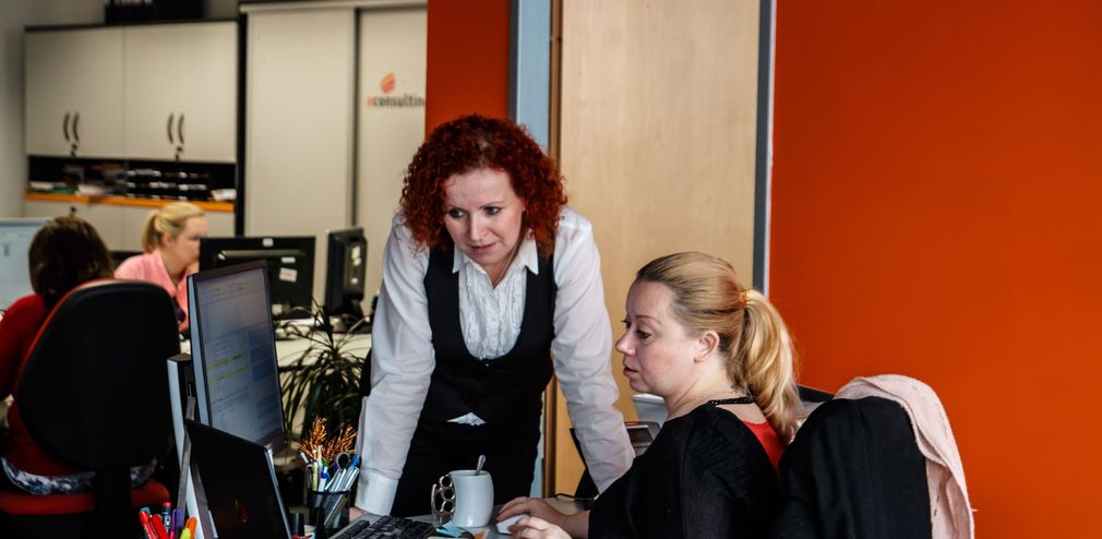 E-Consulting Czech