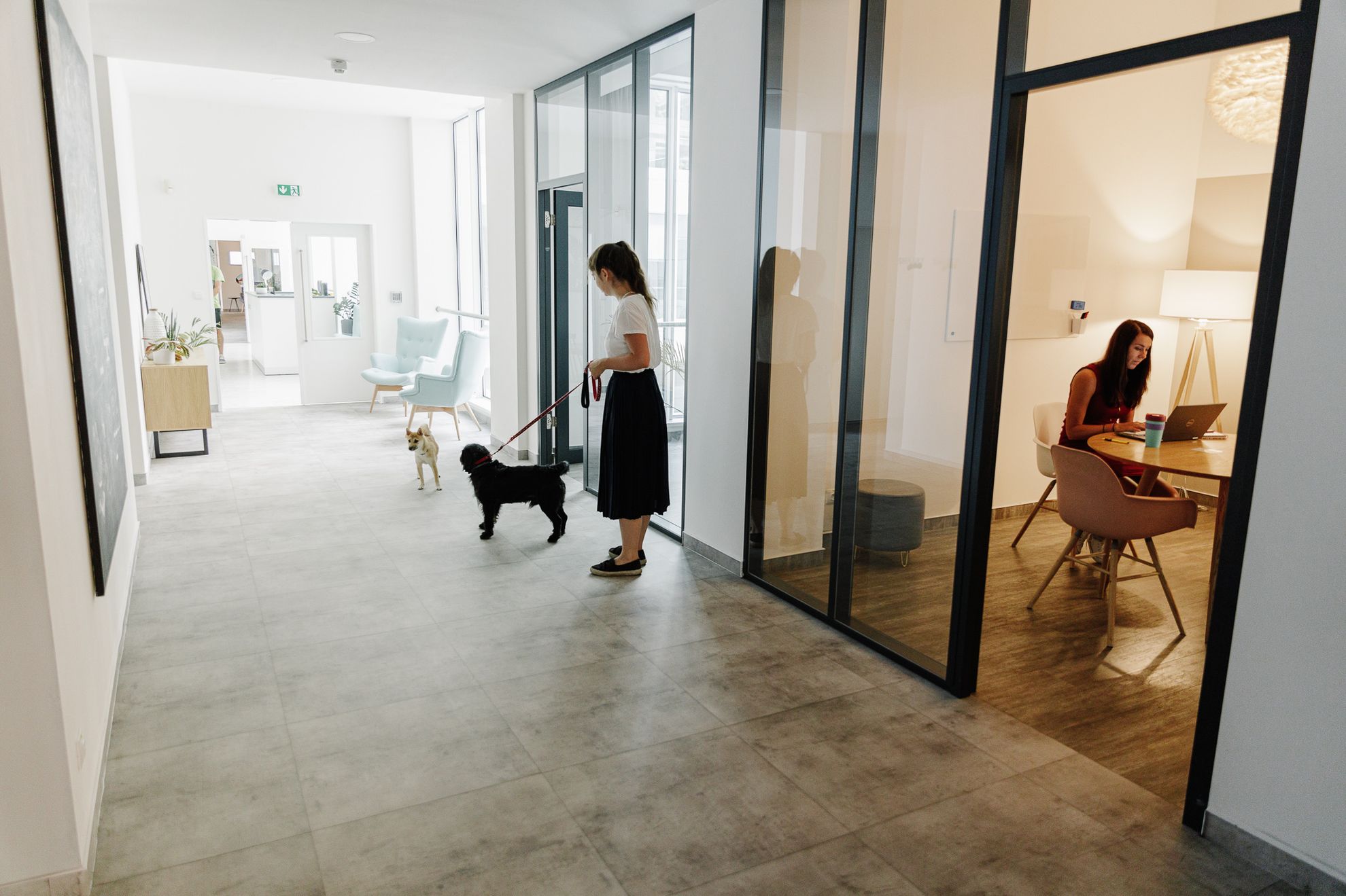 Bonami Buďte v dobré společnosti Cocuma