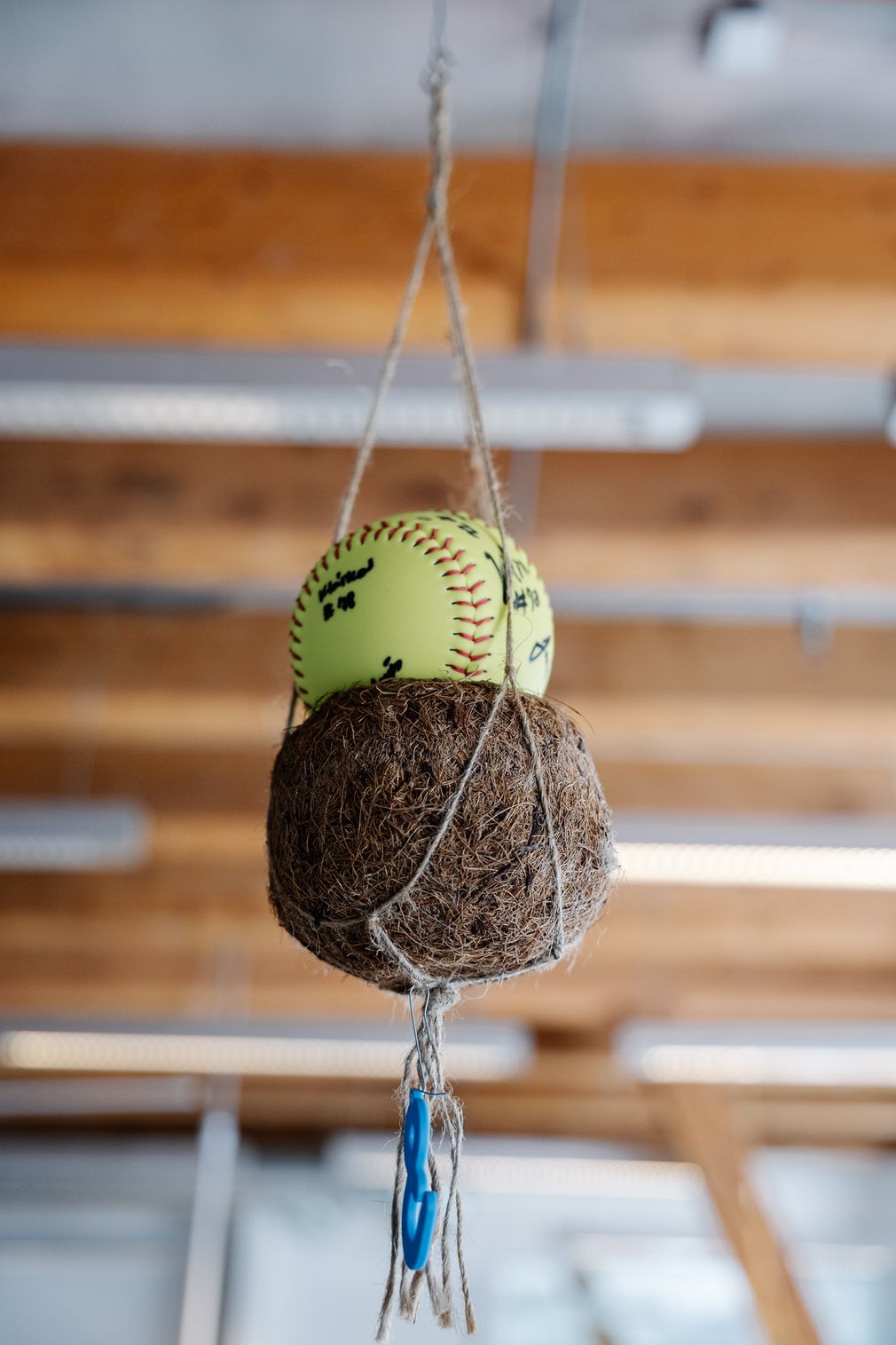 Svoboda v Etnetera Activate #2