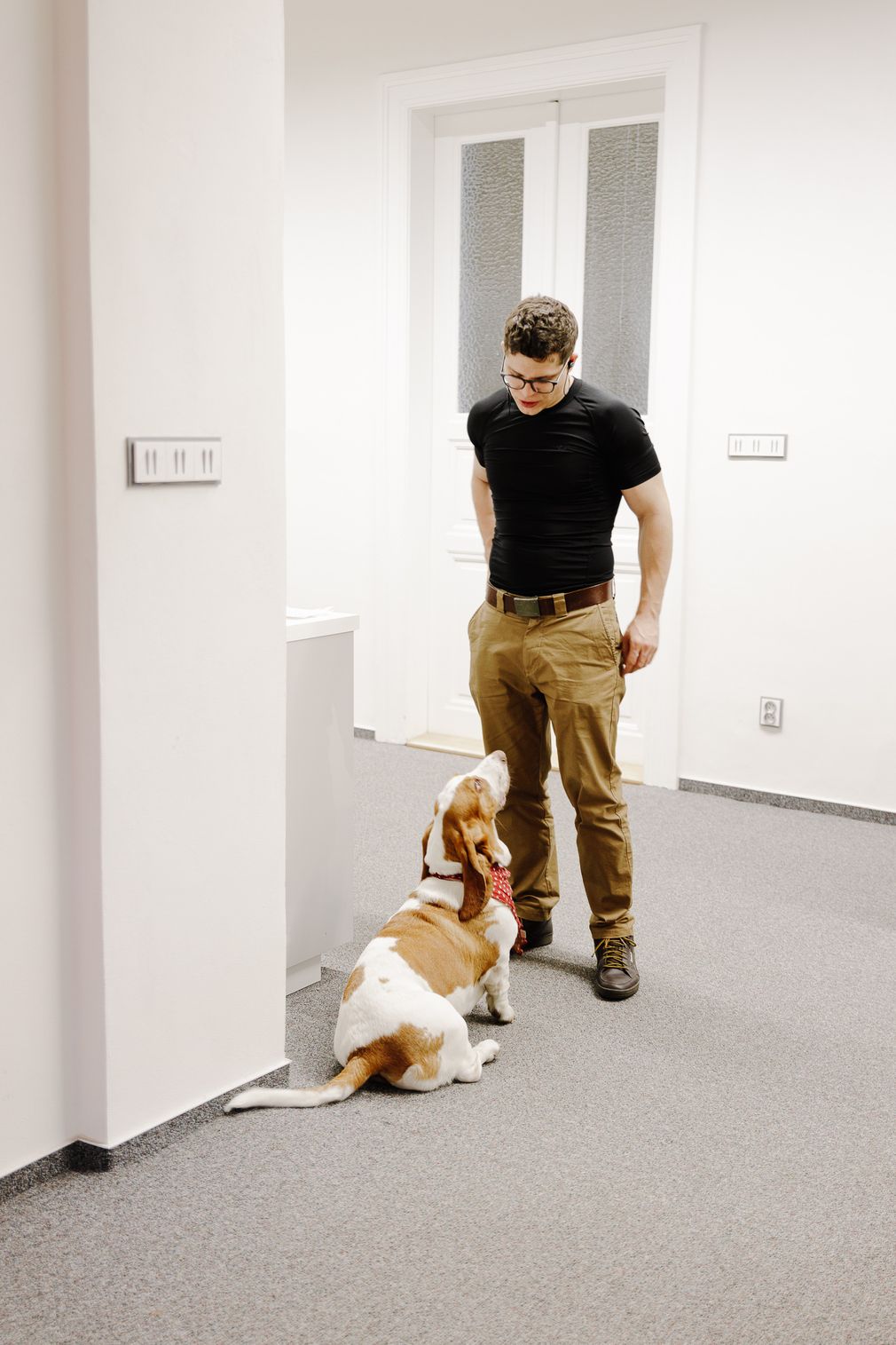 Jsme dog-friendly office (dokud se naše smečka moc nerozroste).